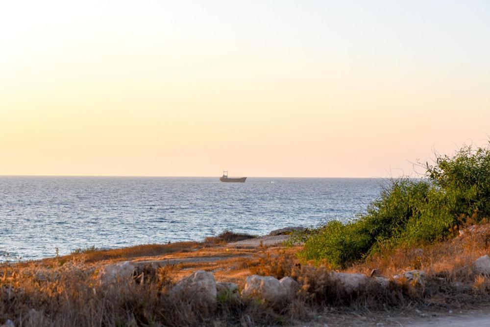 Beautiful Apartment Near The Sea And A Large Private Garden Paphos Luaran gambar
